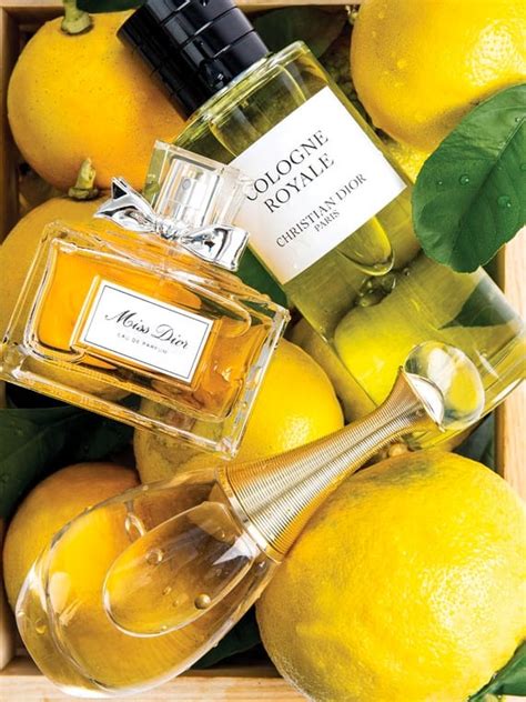 dior san carlo bergamot